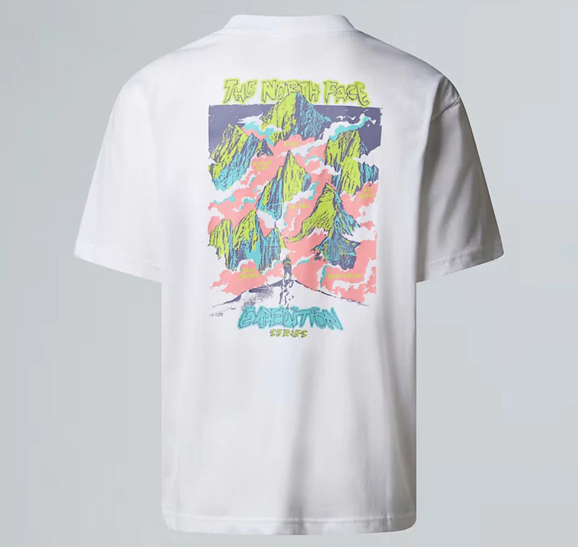 T-shirt The North face