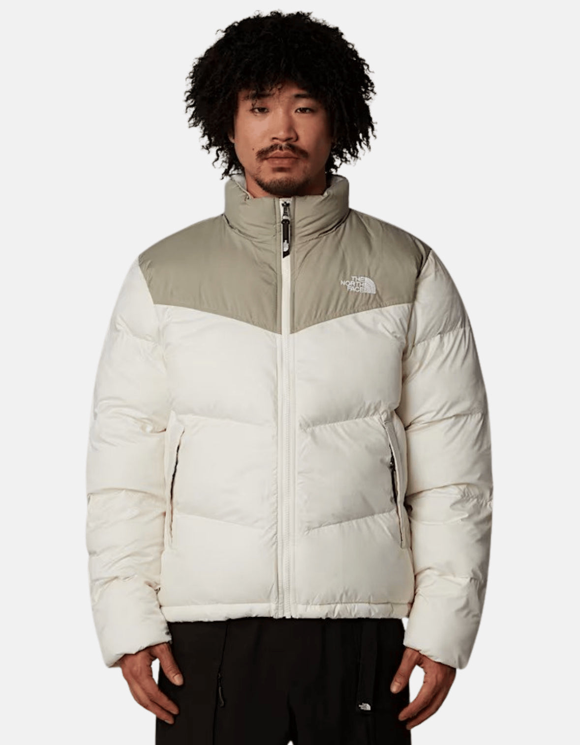 Giubbino The North face Bomber