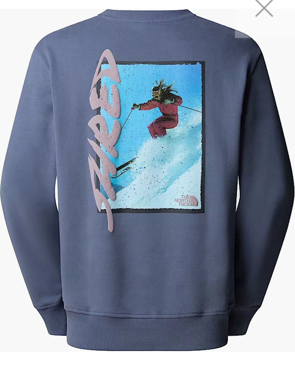 Felpa The North face