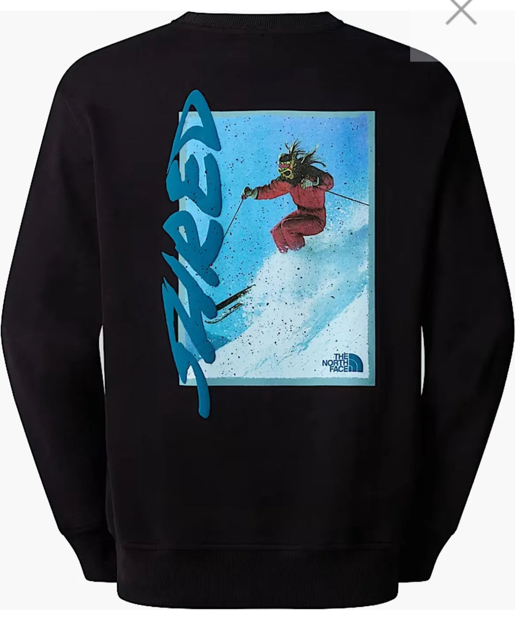 Felpa The North face