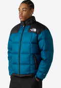 Giubbino Jacket The North face 700