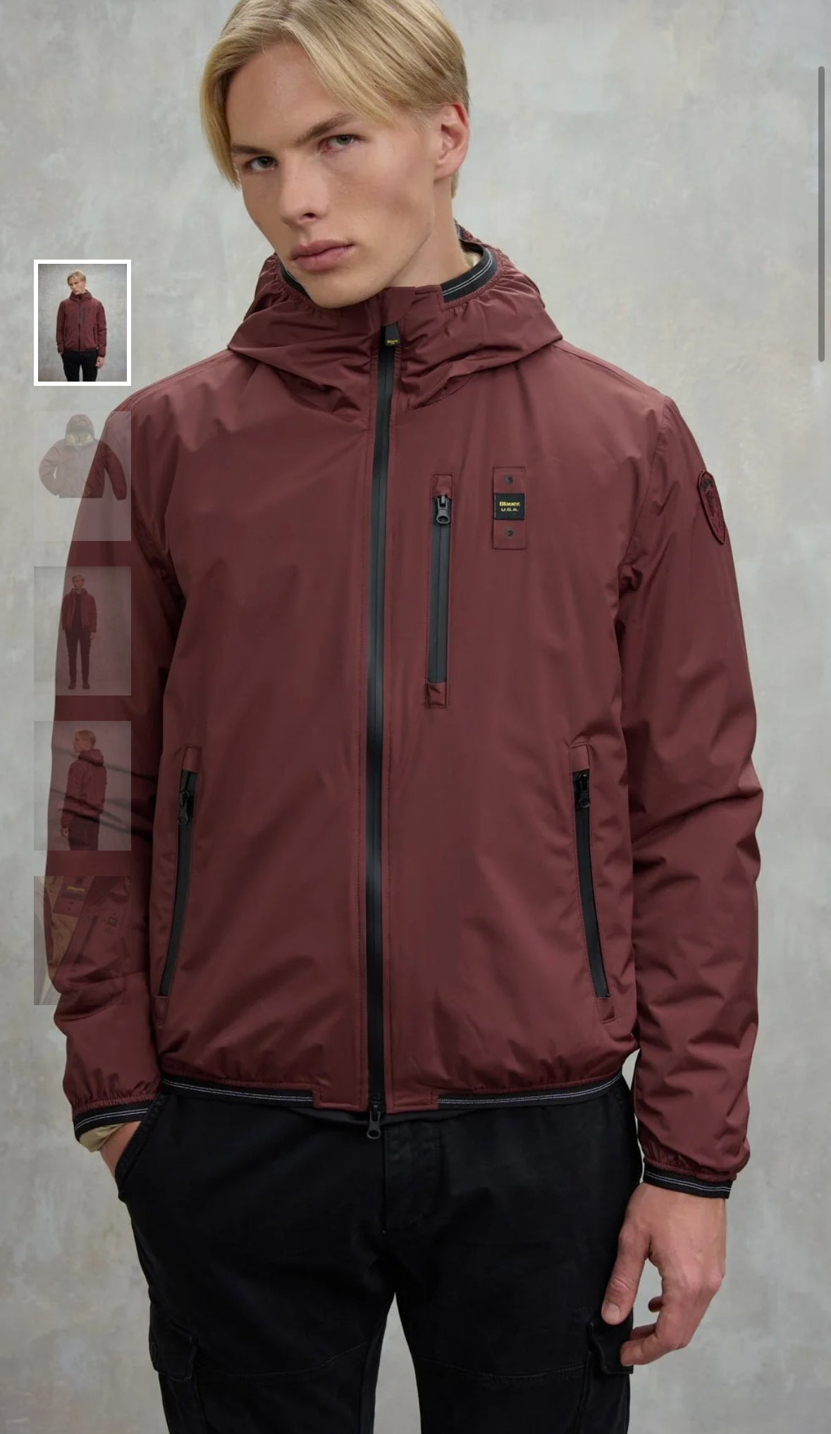 Giubbino Blauer usa interno in Marmotta