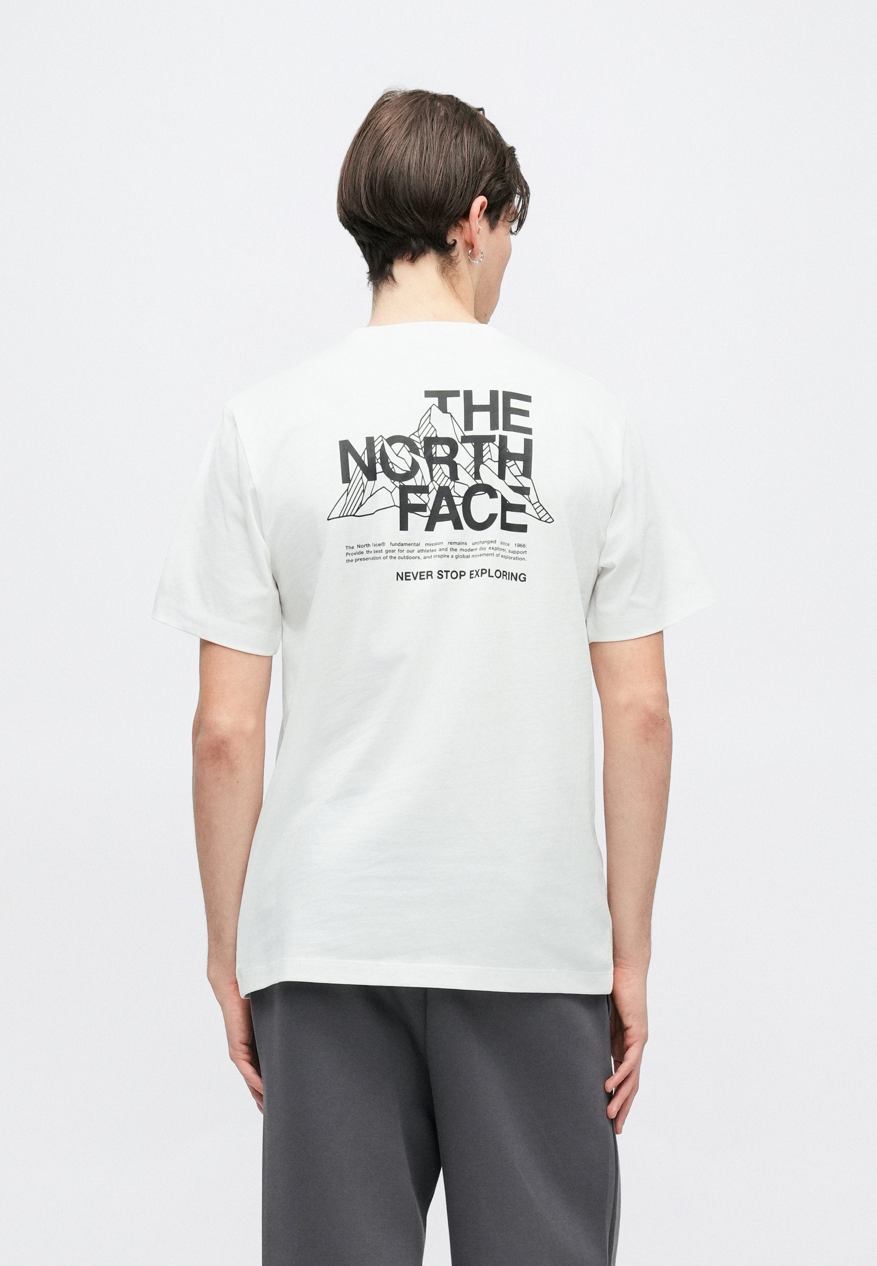 T-shirt the north face