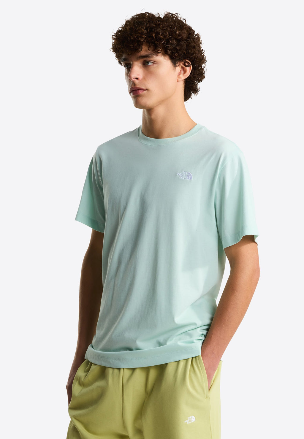 T-shirt the north face simple
